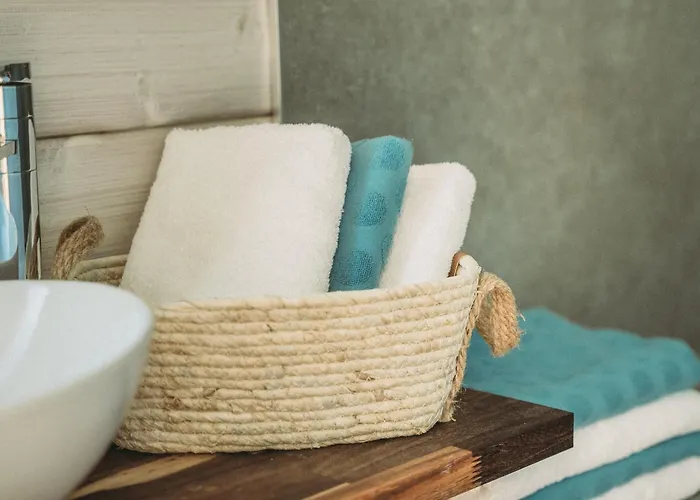 Ahoiwerder Hausboot Havelzauber Fuehrerscheinfrei Bådhotel Werder (Havel)